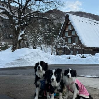 2024年　冬　金沢〜高山の旅　その2