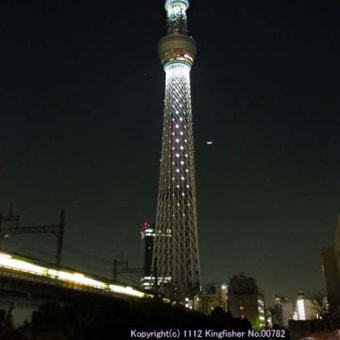 12月24日