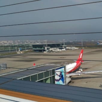 いいお天気でした