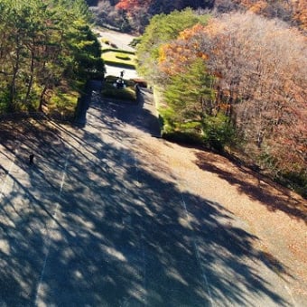 台原森林公園上空