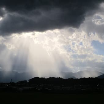 台風7号が過ぎて　今日は