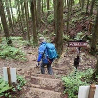 急遽変更！雨の観音峰 ３