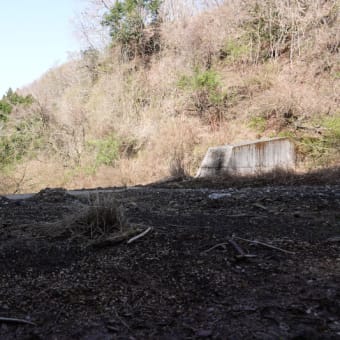 川沿いの林道を歩く