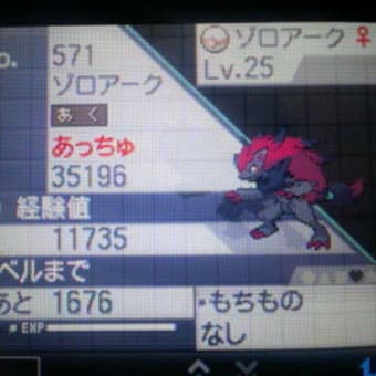 ポケモン ブラック ホワイト ゾロアーク Room Of Accyu