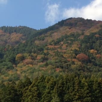 水沢 もみじ谷