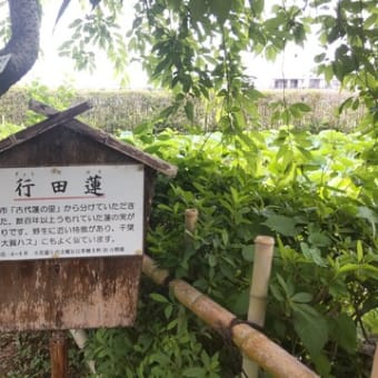 11-Jun-25　難波田城趾で一休み