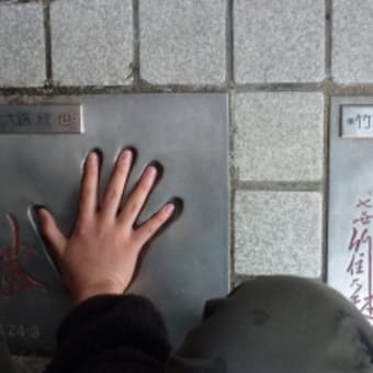 ハイ！