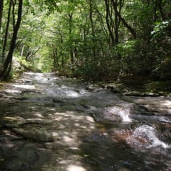 安達太良山・湯川散策