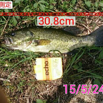 停滞期ですかね?