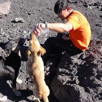 パカヤ火山へ。