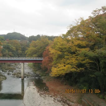 紅葉の季節です！