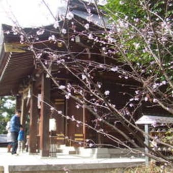 新春の飛鳥坐神社