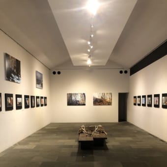 茶廊　法邑　４