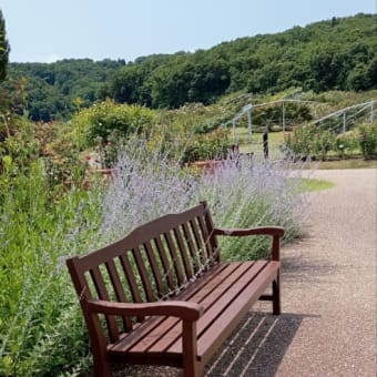 誰もいない公園