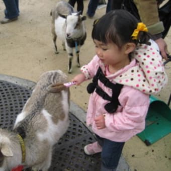 上野動物園９（２０１１年１月３０日）　