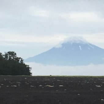 清水に日帰り旅