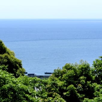 静岡県 in ドクターイエロー　１