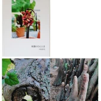 第４５回　写真集