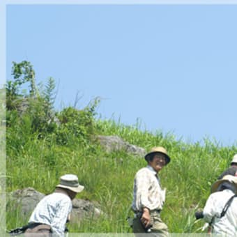 第八回野草勉強会