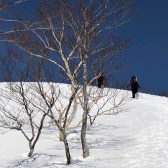 昨年に続いて小出俣山へ