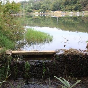 富雄川流域探索「くろんど池（源流）」