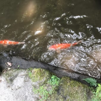 梅ヶ渕不動堂の夏祭、無事終了