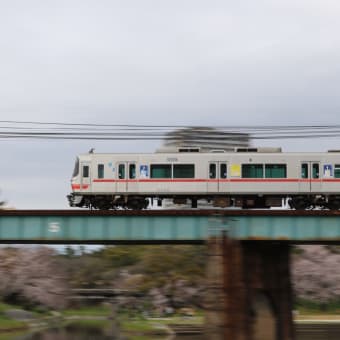 おかざき公園と名鉄電車