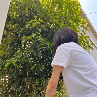 3分でわかるワールドメイト ← 深見東州さんのところ - 川塵録 3分でわかるワールドメイト ← 深見東州さんのところ - 川塵録