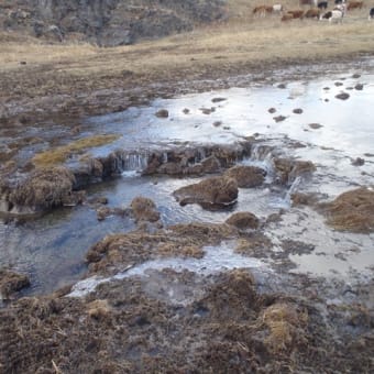 地球大地の成り立ちを見ることができる