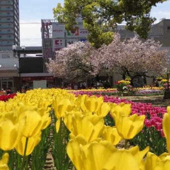 遅かった「春」もまもなく終わり、初夏へ