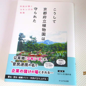 「ヒトツバタゴ」のやさしい木陰で。