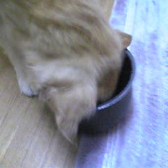同じ釜の飯
