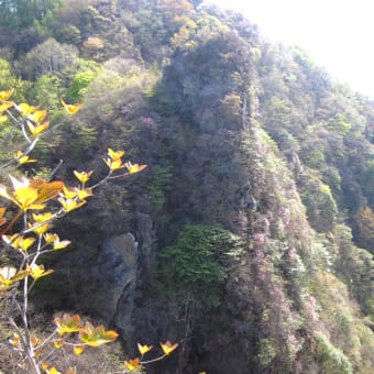 群馬県上野村天狗岩コース