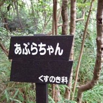 国立科学博物館・附属自然教育園