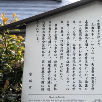 京都　青モミジ100シリーズの大原問答の勝林院