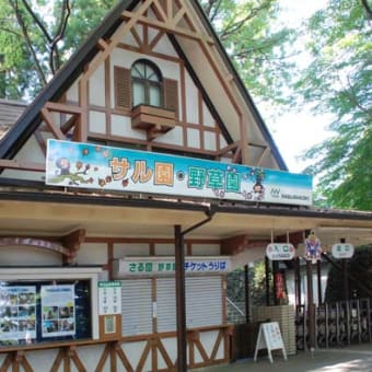 涼を求めて高尾山へ