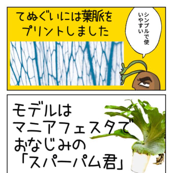 ビカクシダの葉脈をプリントした「てぬぐい」作りました