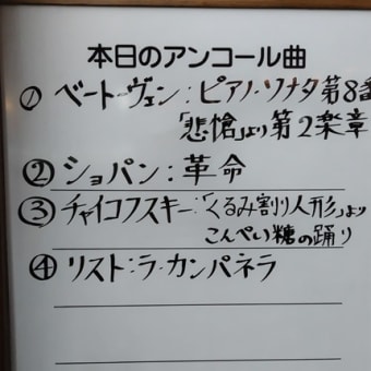辻井伸行 日本ツアー 2025