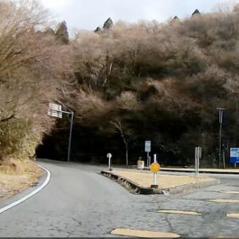 新春スカイラインドライブ