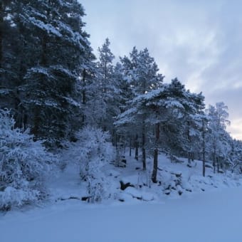 フィンランドの雪景色