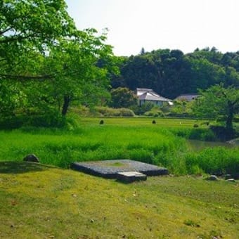 大聖寺の町を歩く