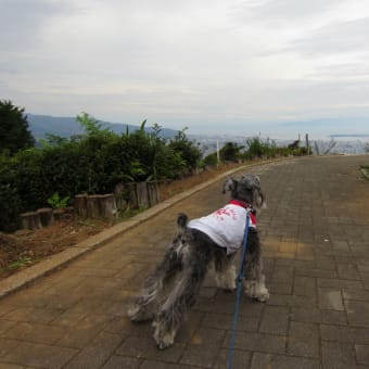 梶原山公園（静岡市）をハイキング　その１