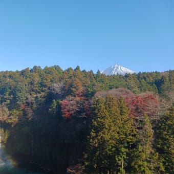 ４年ぶりの日本　　富士山周遊
