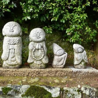 2011年12月3日(土)　野宮神社