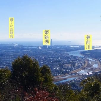 京見山