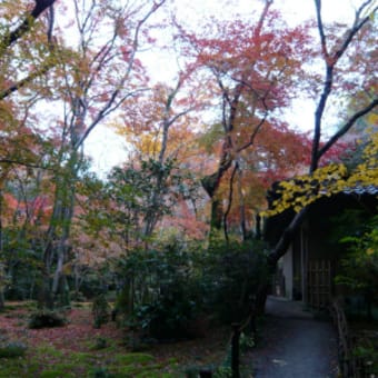 2011年12月3日（土）　祇王寺