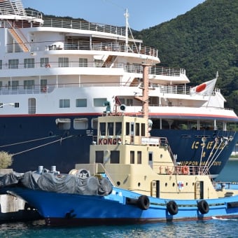 にっぽん丸（あしずり港入港）など（１日目）、四万十テツなど（２日目）で高知をうろうろドライブ！