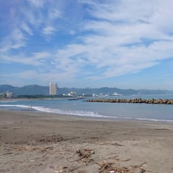 今日はお休み