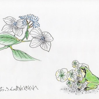 「 梅雨 」　山紫陽花と森青蛙