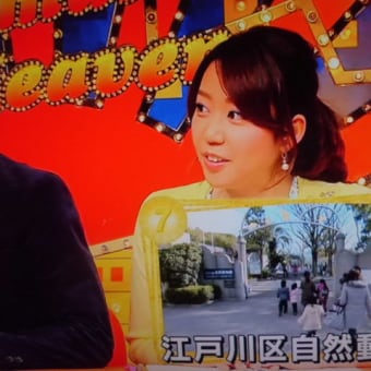 春はボニーテールでつなぁ～